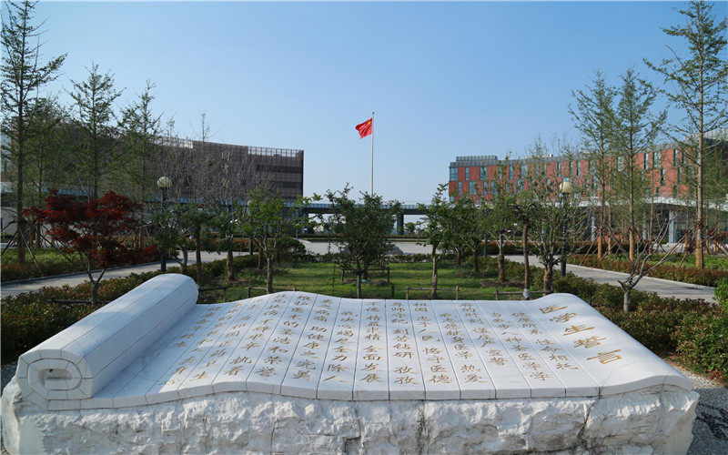 我市实现食品药品安全 议事协调机构市县乡三级全覆盖